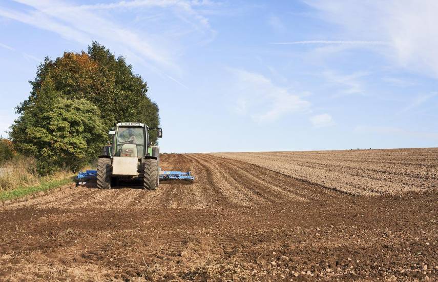 Duty Free del 18 de marzo de 2026