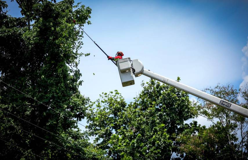 AVISO IMPORTANTE: Trabajos de mantenimiento en la red eléctrica del 27 de julio al 2 de agosto de 2026