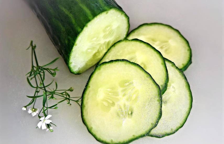Producción de pepino aumentó un 21.5% y superó los 105 mil quintales al año