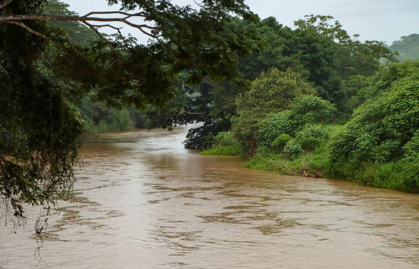 MiAMBIENTE cobra B/.669,823.48 a Campos de Pesé por multa ambiental pendiente desde 2014
