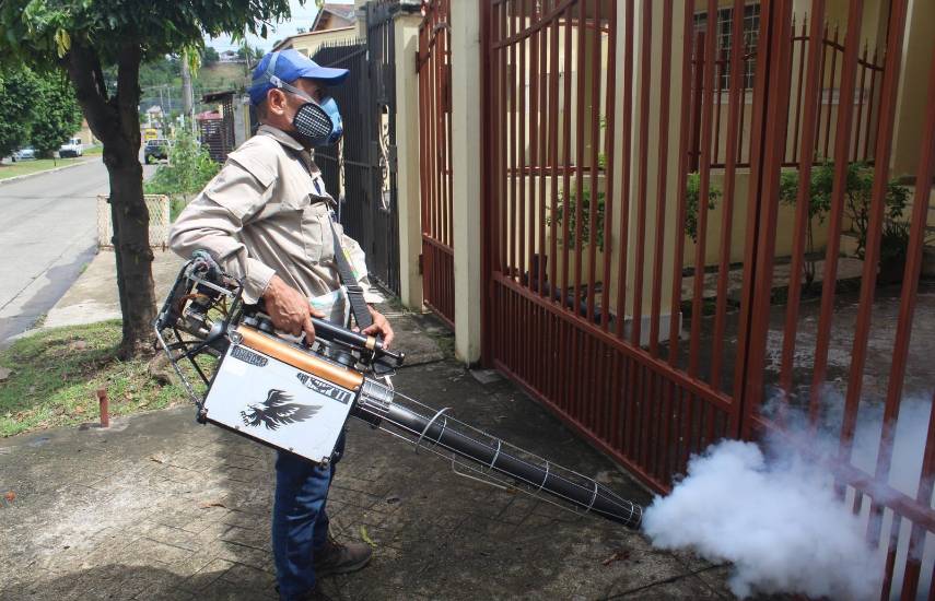 Bajan los casos de dengue, pero el MINSA pide no bajar la guardia