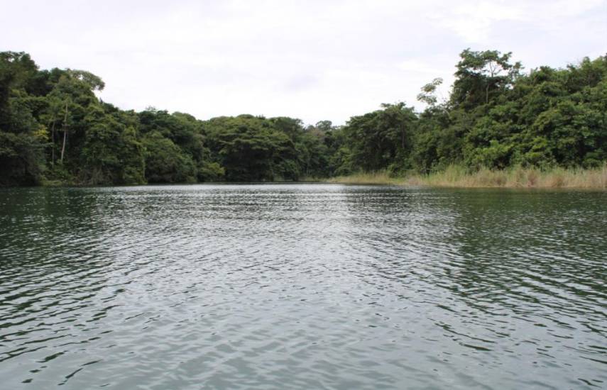 Abren periodo para tramitar permisos de uso de agua para culecos en Panamá Oeste