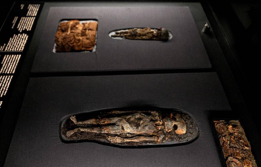 Egipto presenta por primera vez la colección completa de los tesoros de Tutankamón