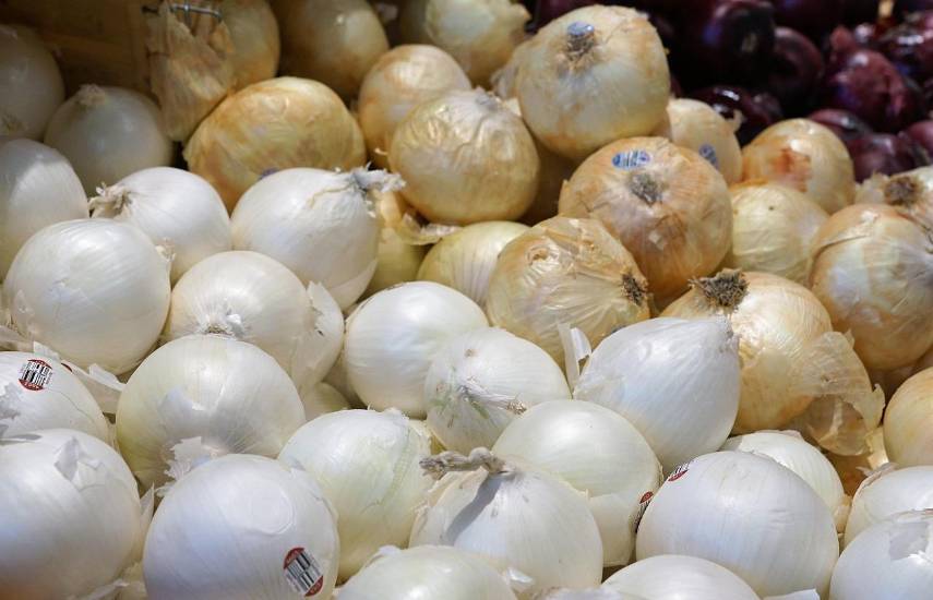 IMA desmiente retiro de cupo a productor de cebolla en Azuero