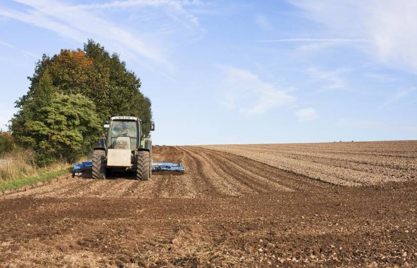 Incentivos y subsidios al sector agrícola