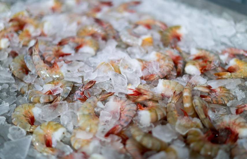 Exportaciones panameñas crecen 17.2% y superan los B/.1,157 millones