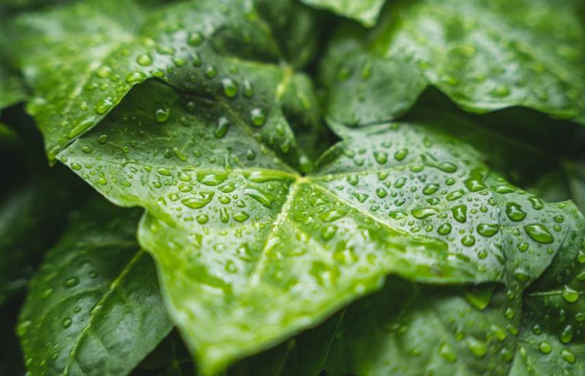 Tejemeneje del 10 de enero de 2025