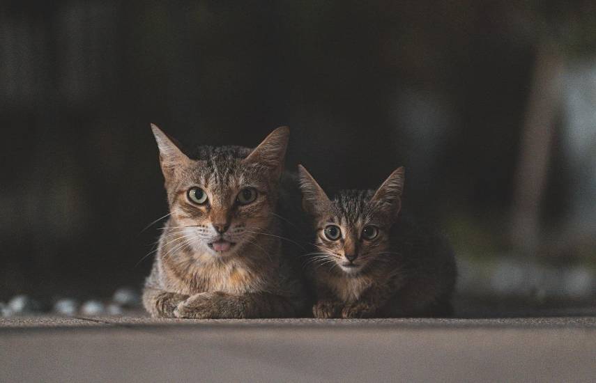 Tejemeneje del 3 de diciembre de 2025