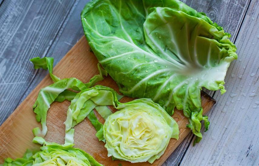 Chiriquí lidera siembra de lechuga y repollo