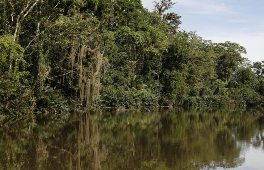 En celebración del Día de los Humedales destacan su importancia