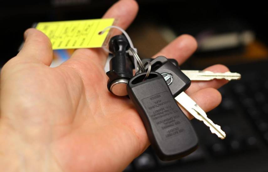 La invasión china llegó con los autos