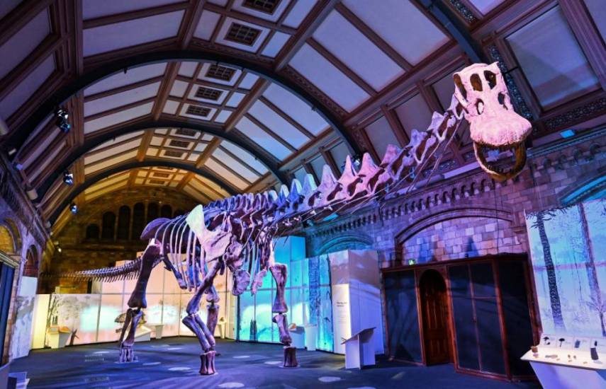 Una réplica del titanosaurio de la Patagonia se expone en Londres
