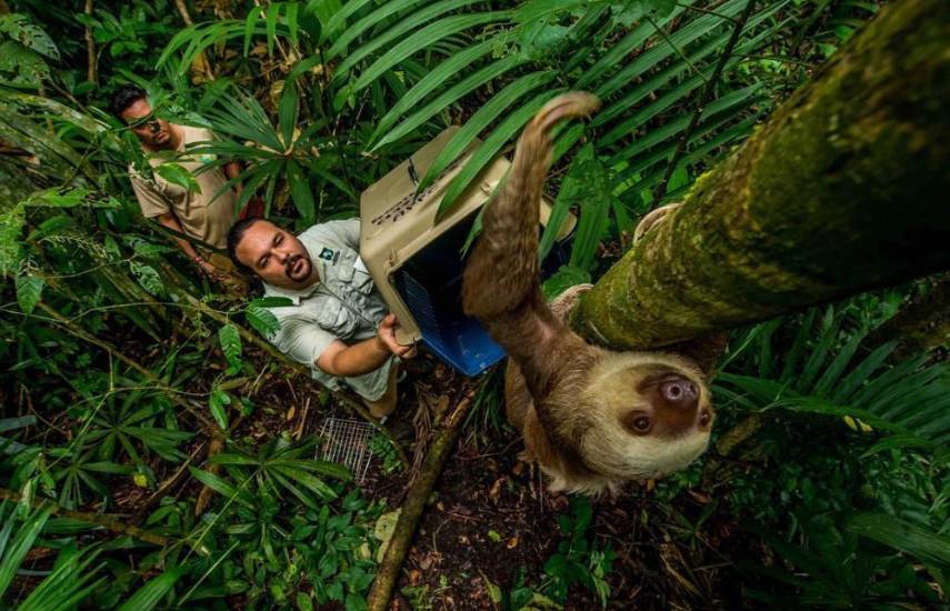 ¡Al rescate de la fauna!