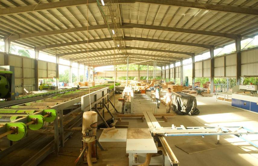 Empresa ubicada en Chepo exporta madera a Vietnam