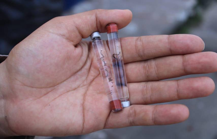 Minsa: 197 hospitalizados y 6 defunciones por dengue en Panamá