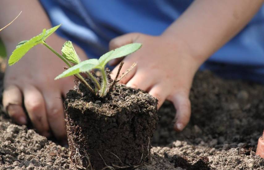 La CCIAP promueve creación de 150 granjas en Taobré