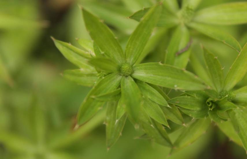 Tejemeneje del 23 de octubre de 2025