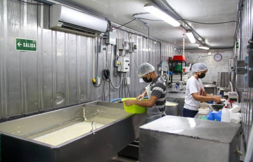 Leve baja en la producción de leche nacional, dicen productores