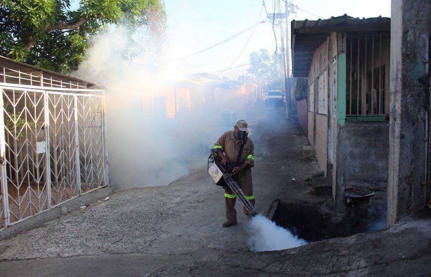 Disminuyen en 32% las hospitalizaciones por dengue en Panamá durante 2026, según el Minsa