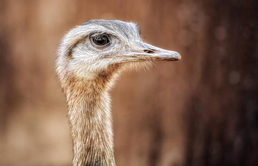 Tejemeneje del 1 de diciembre de 2025