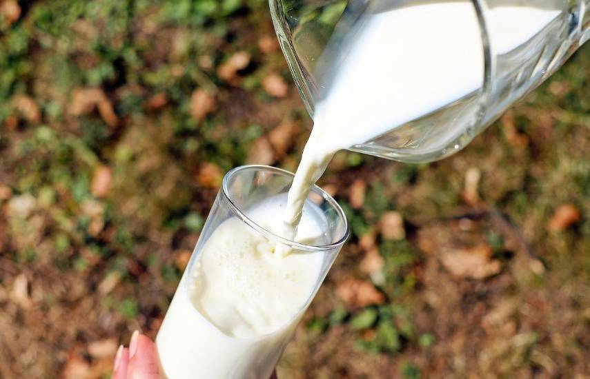Ganaderos advierten sobre el uso de leche en polvo importada en programa escolar