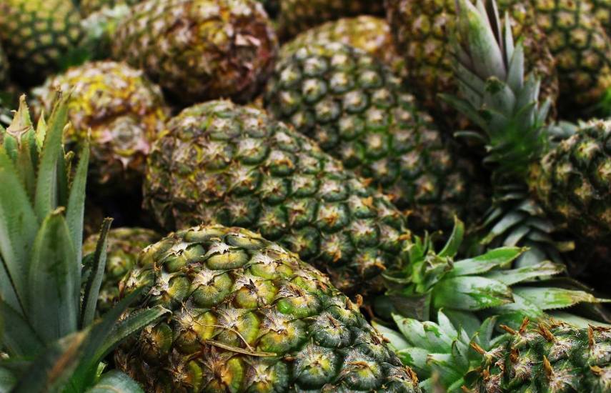 Duty Free del 26 de febrero de 2026