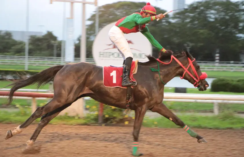 Miss Good Night pone en alto y enaltece al Sud La Alianza