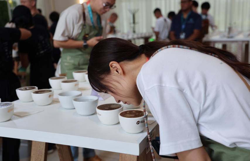 Café panameño de alta gama se ofertará desde $400 el kilo en subasta mundial