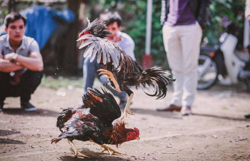 Tejemeneje del 2 de octubre de 2025
