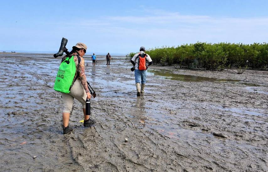 Refuerzan coordinación comunitaria para ampliar el Humedal Ramsar Punta Patiño en Darién