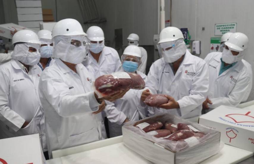 Porcinocultores celebran habilitación de procesadora para exportación a China