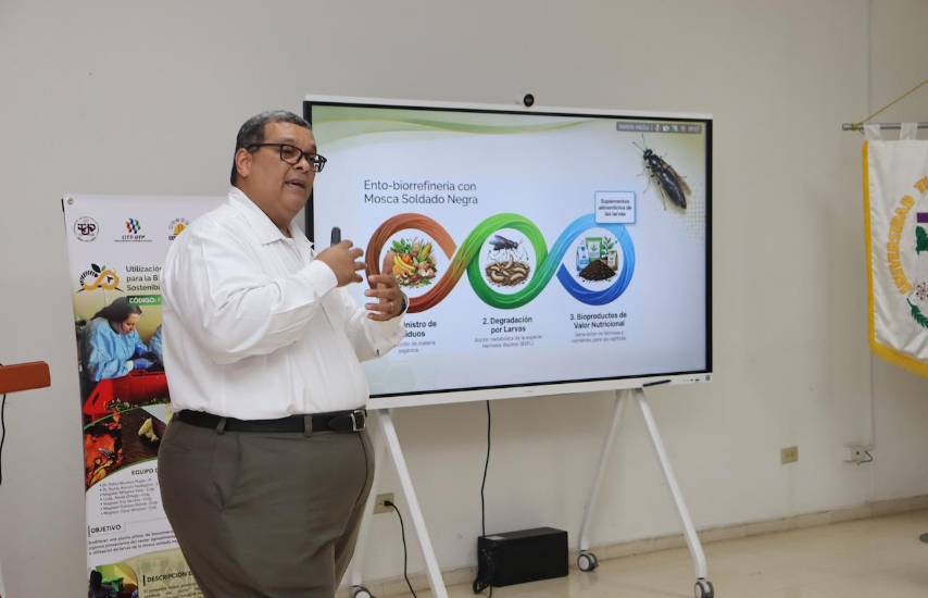 La UTP lanza proyecto para transformar desechos orgánicos mediante bioconversión con insectos