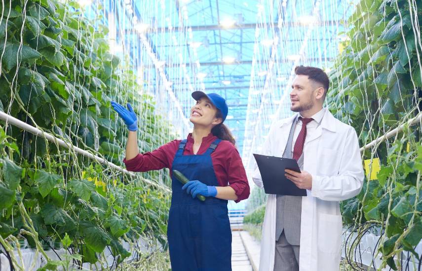 ¿Cómo los riesgos agropecuarios impactan a las empresas?