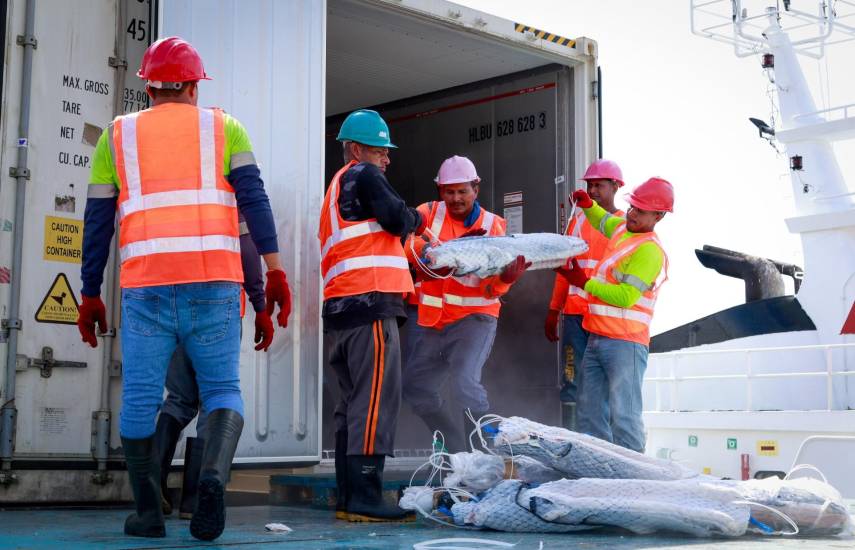 Duty Free del 19 de diciembre de 2025