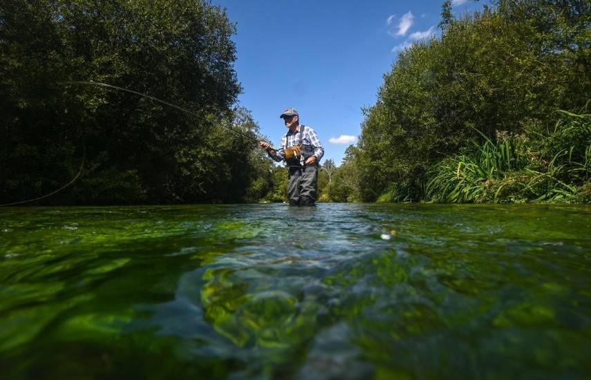 Truchas y salmones, tesoros de los ríos ingleses amenazados por el calentamiento climático