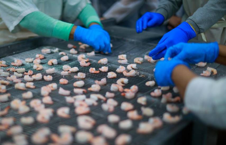 Exportaciones panameñas crecen 12.5% y alcanzan B/.913.1 millones en el primer semestre del año