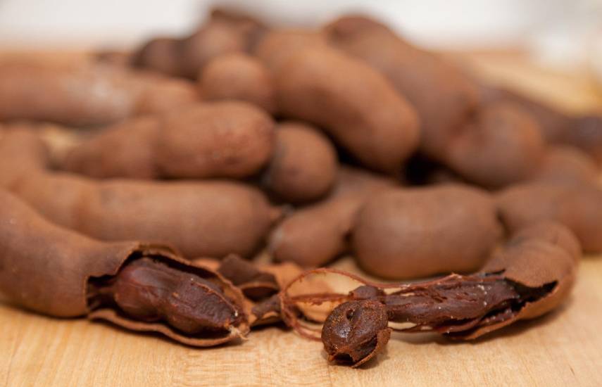 Los Santos, Herrera y Panamá lideran producción de tamarindo