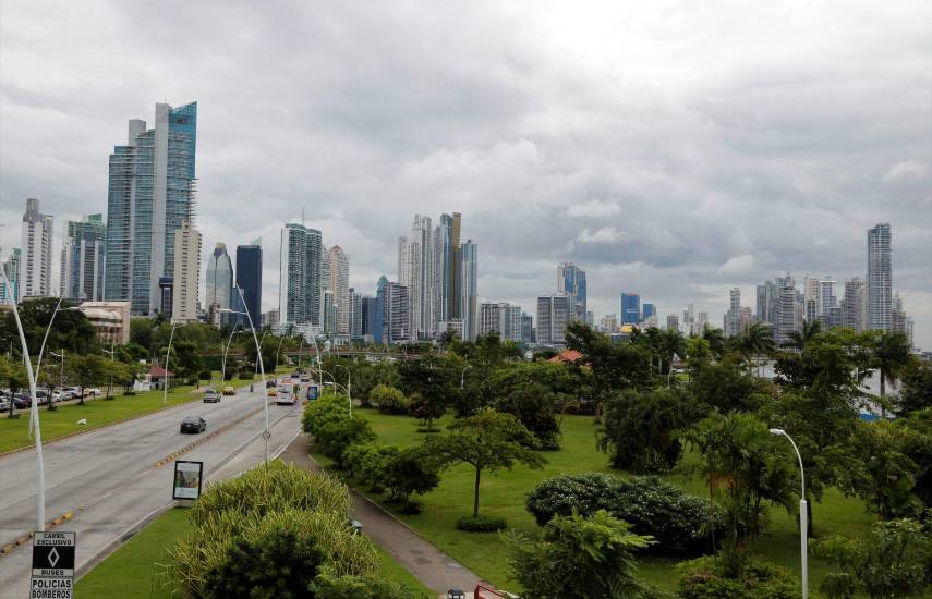 Más de 175 tipos de árboles en la city