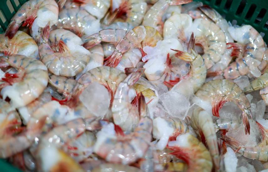 MICI: Exportaciones de bienes alcanzaron los $980.1 millones