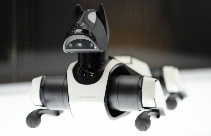 Equipos transparentes y enrollables, lo último en el MWC