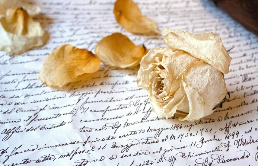 “Poesía no muere: se transforma, incluso en reggaetón”