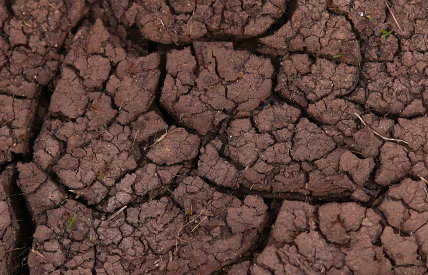 Panamá experimenta condiciones propias del fenónemo de El Niño, dice autoridad metereológica
