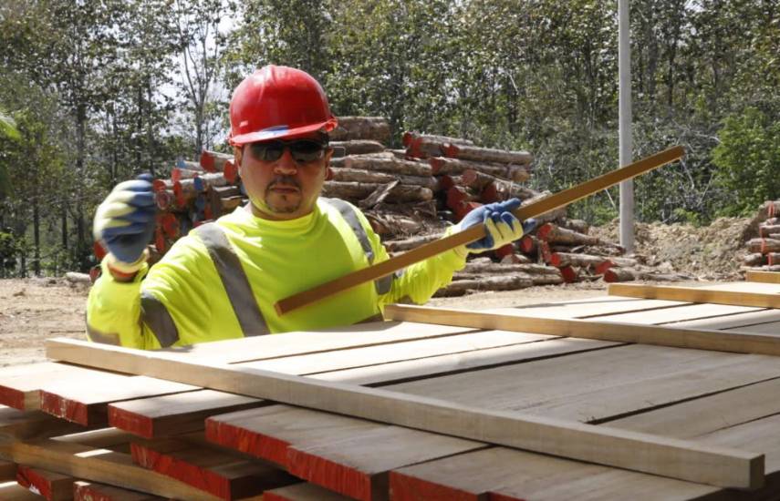 Inauguran primera planta procesadora certificada de madera procedente de plantaciones forestales