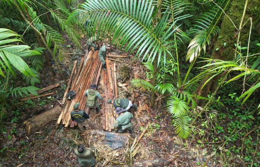 Detectan tala ilegal en Volcán Barú