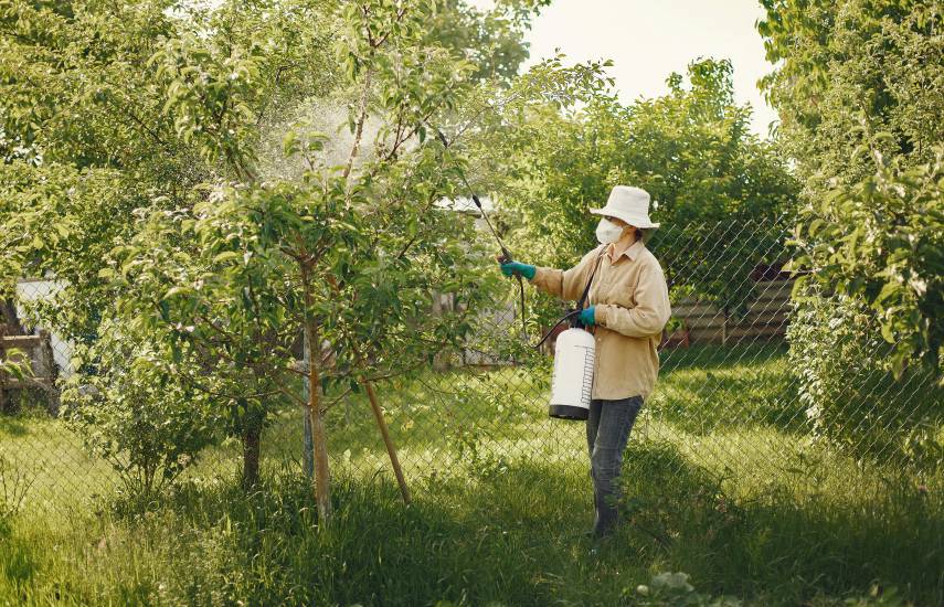 MIDA da seguimiento a posible intoxicación por insecticida en Salamanca, Colón