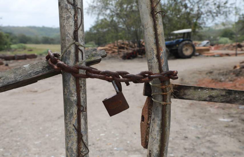 Suspenden operaciones en aserradero clandestino en Chepo