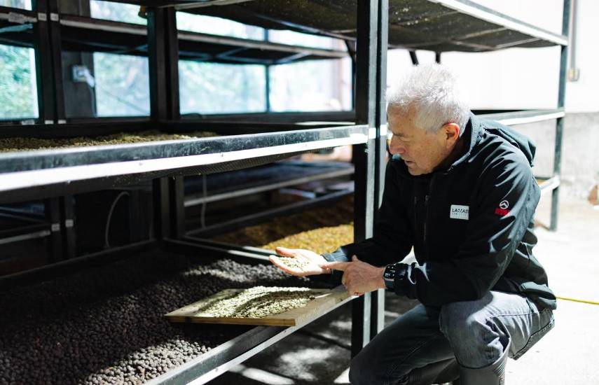 Luito Estate debuta con un Geisha vendido a US$14,710 por kilo