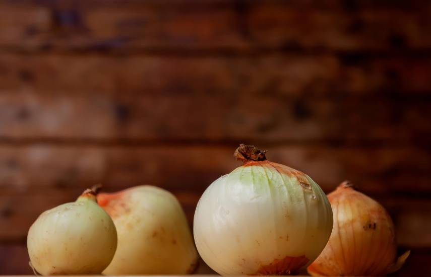 Producción anual de cebolla supera los 688 mil quintales