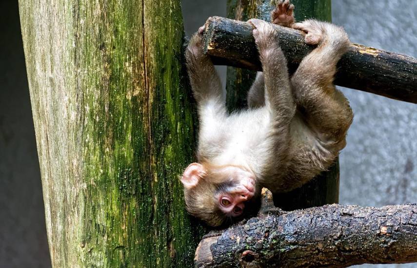 Tejemeneje del 10 de diciembre de 2025