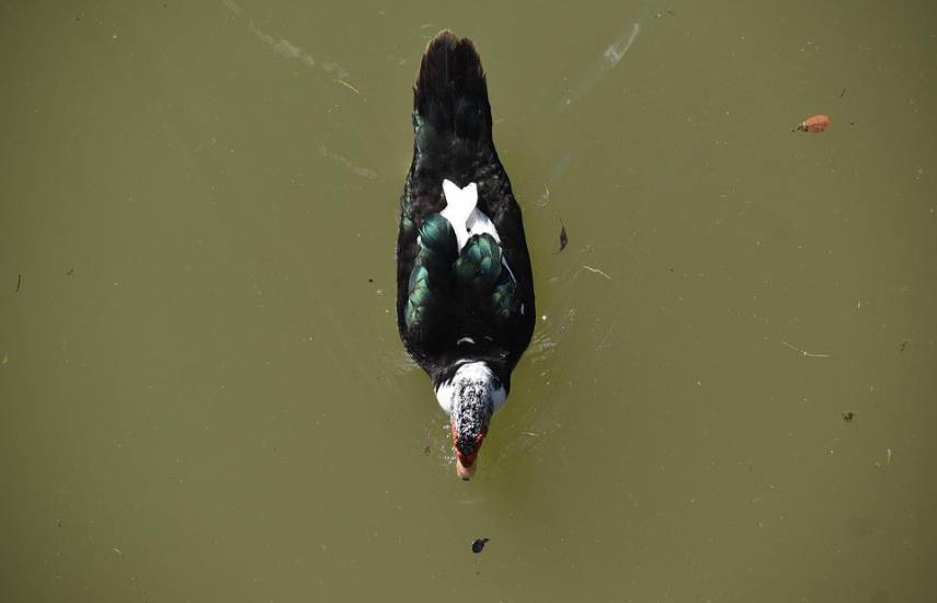 Tejemeneje del 10 de diciembre de 2025